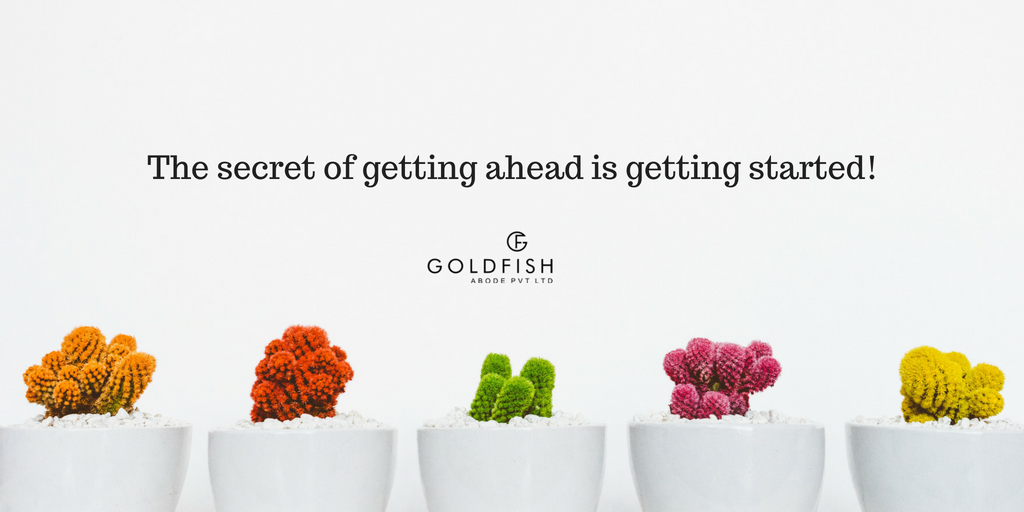 GoldfishAbode's tweet photo. Good Morning Folks!!! #WednesdayWisdom #WednesdayMotivation #wednesdaythoughts @GoldfishAbode https://t.co/c14JXEHwzu