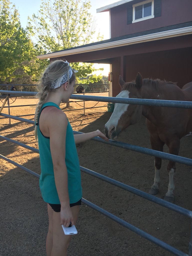 MAB_Sedona's tweet photo. Have become one with the locals. https://t.co/Pjqie5yaTR