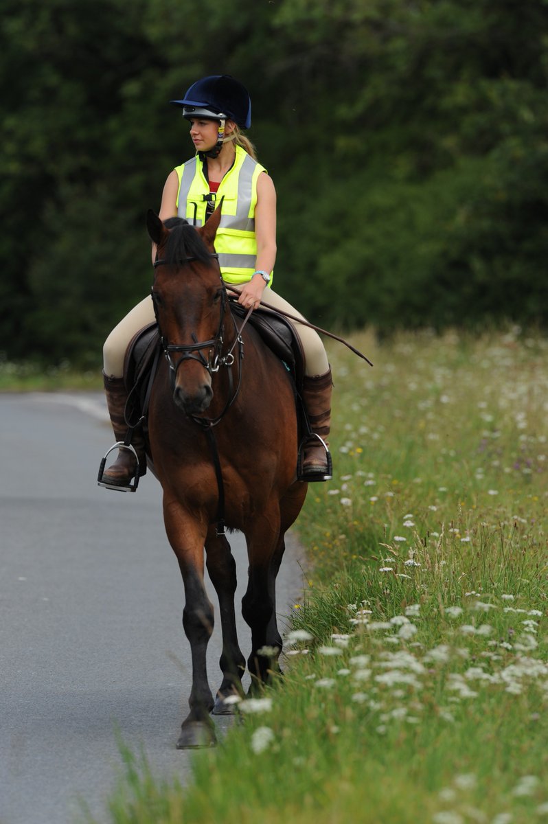Point Two (@p2airvests) on Twitter photo Our air jackets can be worn in conjunction with a Hi-Viz tabard as long as it is loose fitting & the sides are fitted with Velcro or elastic to allow for inflation! 💛Alternatively choose our HiViz ProAir goo.gl/uk4cuf
#RoadSafety <a href="/BritishHorse/">British Horse Society</a> #DeadSlow #Equestrian Our air jackets can be worn in conjunction with a Hi-Viz tabard as long as it is loose fitting & the sides are fitted with Velcro or elastic to allow for inflation! 💛Alternatively choose our HiViz ProAir goo.gl/uk4cuf
#RoadSafety <a href="/BritishHorse/">British Horse Society</a> #DeadSlow #Equestrian