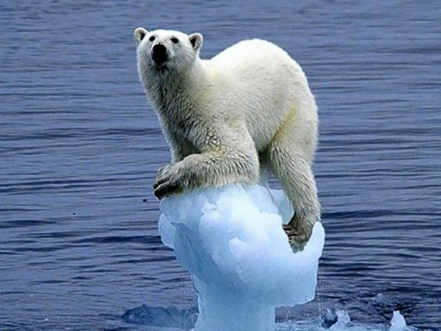 _Naeray's tweet photo. « Si le climat était une banque, il serait déjà sauvé. » https://t.co/CxlNo3zslG