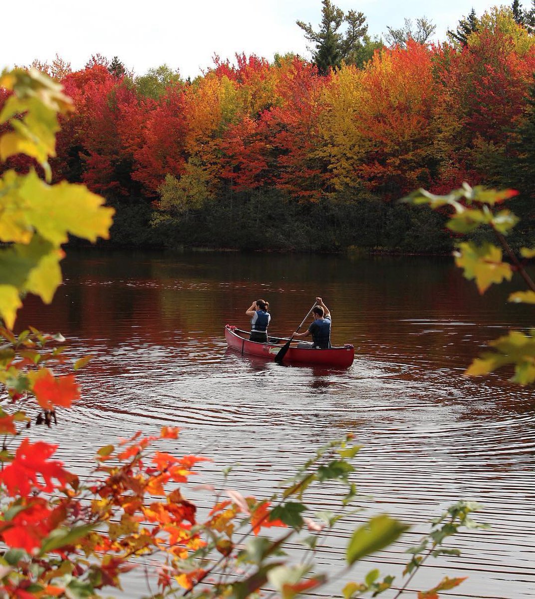 Si c'était vous? 🇨🇦
Participez à notre concours pour gagner un voyage au Nouveau-Brunswick: bit.ly/2zVjoZ1 

Photo: <a href="/jenna_watsonx/">Jenna</a> | Instagram