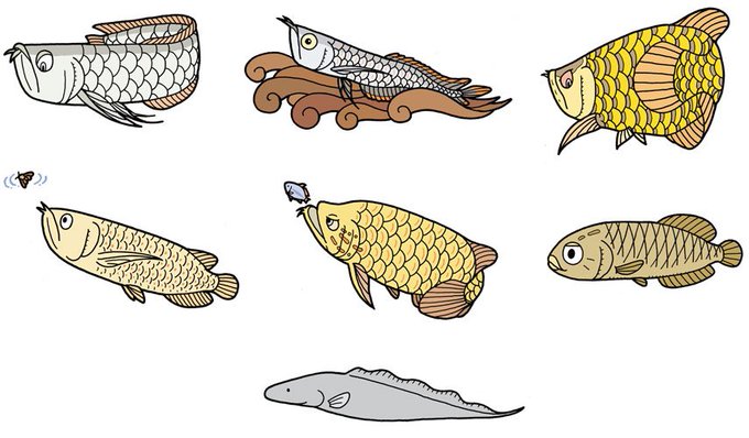 魚名当てクイズのtwitterイラスト検索結果