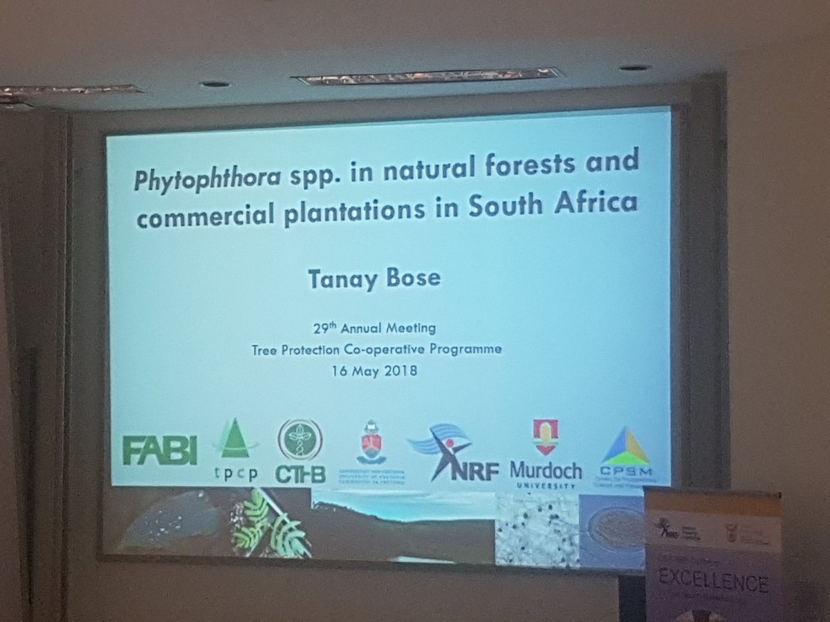 DrAndiWilson's tweet photo. And we've just begun the very last talk of #TPCP2018!
Currently hearing about Phytophthora species diversity and their effect on SA forestry https://t.co/5w03HEWRSn