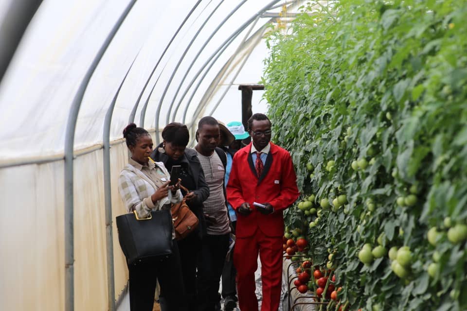 Seed Co Zimbabwe tweet media