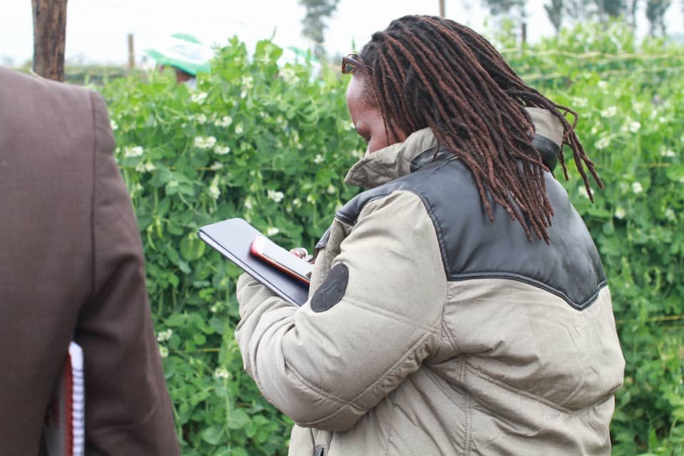 Seed Co Zimbabwe tweet media