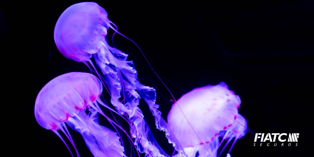 FIATCseguros's tweet photo. 📢 Y el color del año es para… el ULTRA VIOLET https://t.co/vSwgjxe0kU #color2018 https://t.co/gMTlSM1UQx