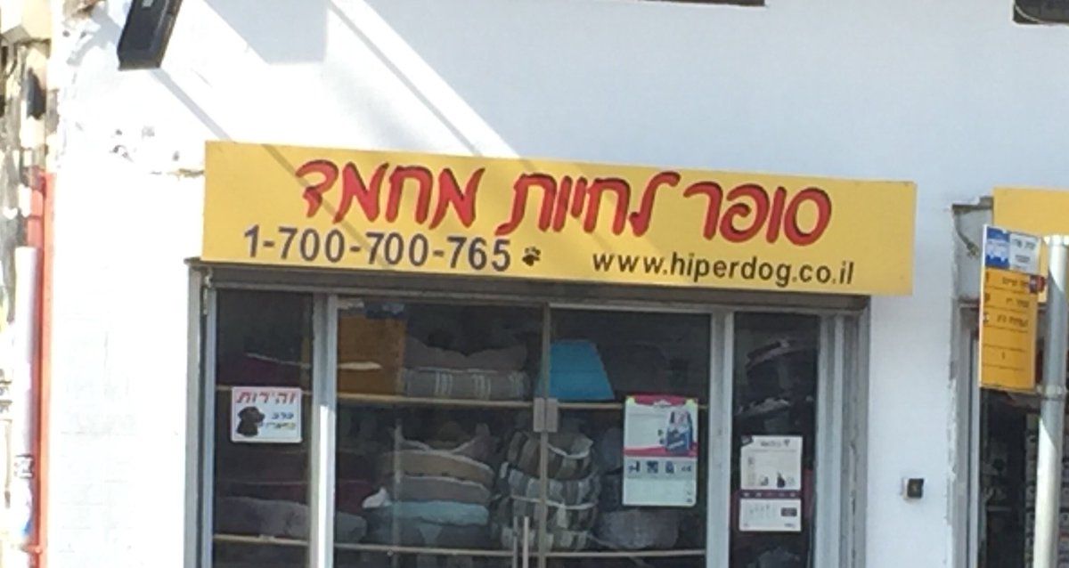 כשאתה מתעקש לעשות משהו עם התואר בספרות