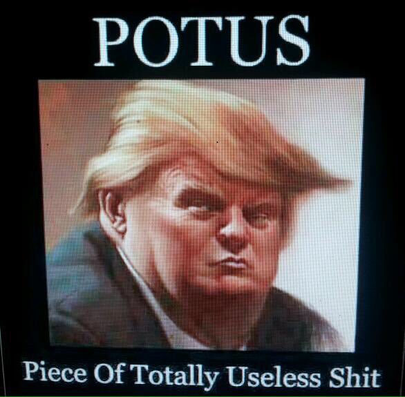 mkf1228's tweet photo. #IdLikeToForgetAbout @realDonaldTrump and his idiocy https://t.co/TXKc84aPdo