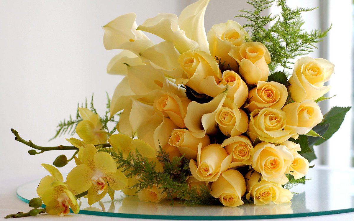tanyasingh0823's tweet photo. Same Day Gifts Delivery in Mumbai at best price. 
Visit Here:- https://t.co/qU963GuVlQ
#mumbai #gifts #delivery #online https://t.co/b4NMianYkz