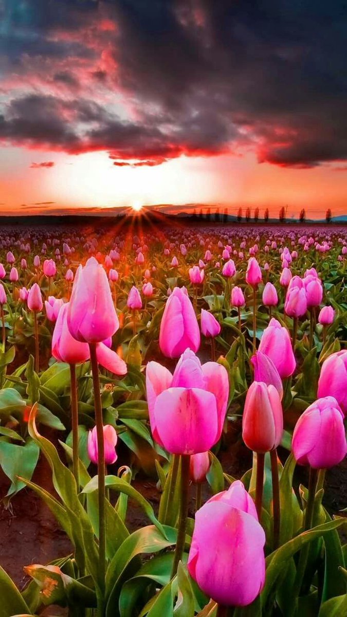 º｡ﾟﾟﾟ°◦｡
🎲◆🎲◆☆•ﾟ🌟☆
🎨▶#TmLily
🎨▶#Mel_Lily 

<a href="/LiliBodo/">🌸.•° Lily #TMLILY °•.🌸#MEL_LILY</a>💘
<a href="/lv4gab/">Gaby</a>
<a href="/V2_N_St0/">Vanessa ™#MGWV</a>
<a href="/anie1215/">💕 anie 💕 my son is my life 💕</a>
<a href="/SiscoMGWV/">🔶️Sisco #1DDrive 113k🔶️</a>
<a href="/LaurenVictorita/">LAUREN VICTORITA 방탄소년단</a>
@adityasingh7865
<a href="/louzival2011/">🇧🇷Louzival 2011 MGWV</a>
<a href="/LaurenVictorita/">LAUREN VICTORITA 방탄소년단</a>
<a href="/insaurraldeh/">⭐POLI⭐ #MGWV⭐</a>
<a href="/Lola_lolita06/">🧚‍♀️💖LolaLolita 💖🧚‍♀️</a>
<a href="/danimar2311/">Daniela OFFICIALMGWV</a>
<a href="/Only__Sweet/">Only_angel</a>
<a href="/aliciagarciaga6/">Alicia garcia garcia</a>
<a href="/mamiRD/">anwar</a>
@djombic
@Leeza_TMJ