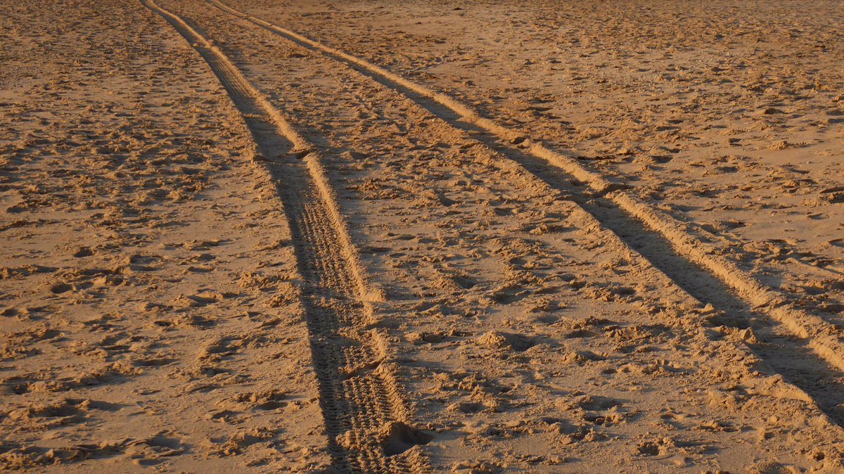 Onderzoek strandparkeren? Reserveer de scanauto's voor de zomerperiode bij verkeersonderzoek.nl  #scanauto #parkeeronderzoek