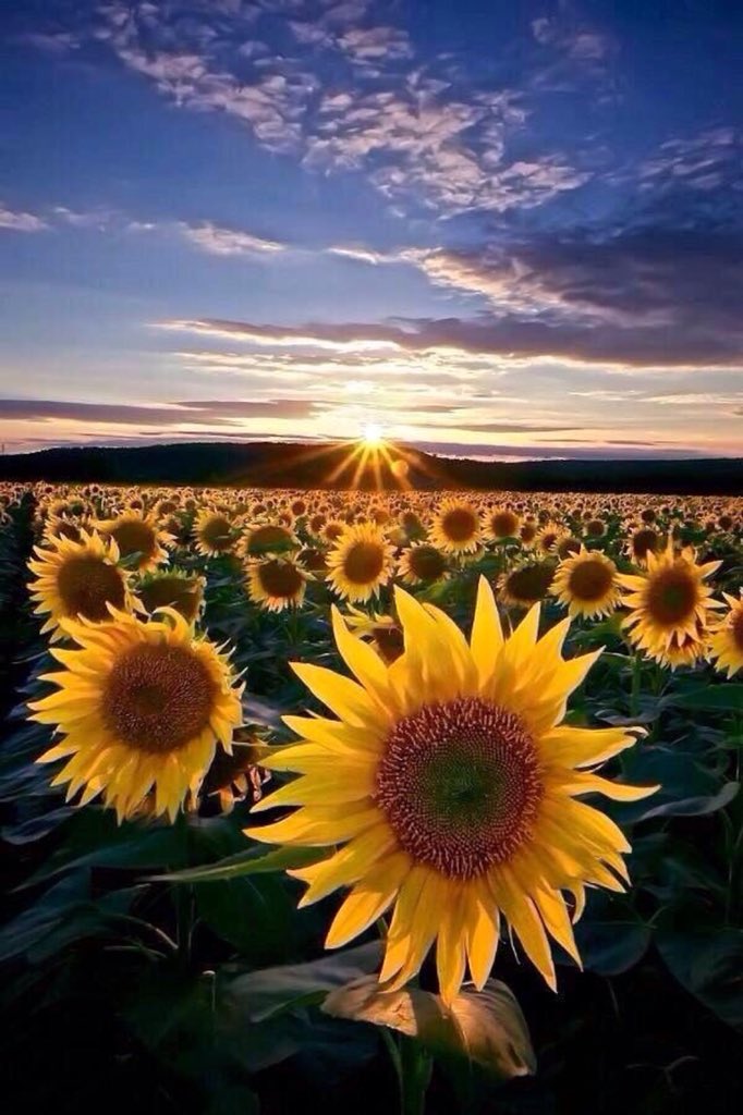 PardueSuzanne's tweet photo. Wake up every morning with
a thankful attitude.  Expect
something good to happen
in your life today... https://t.co/a3vClnCriy