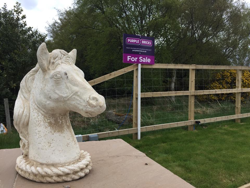 PurplebricksUK's tweet photo. Hey, you… quit horsing around and get your free valuation booked with Purplebricks. https://t.co/dkM0MblxPx