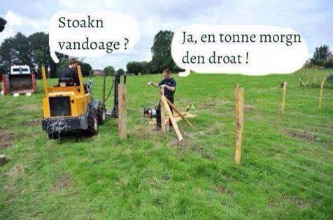 #staken #iedereenwestvlaams