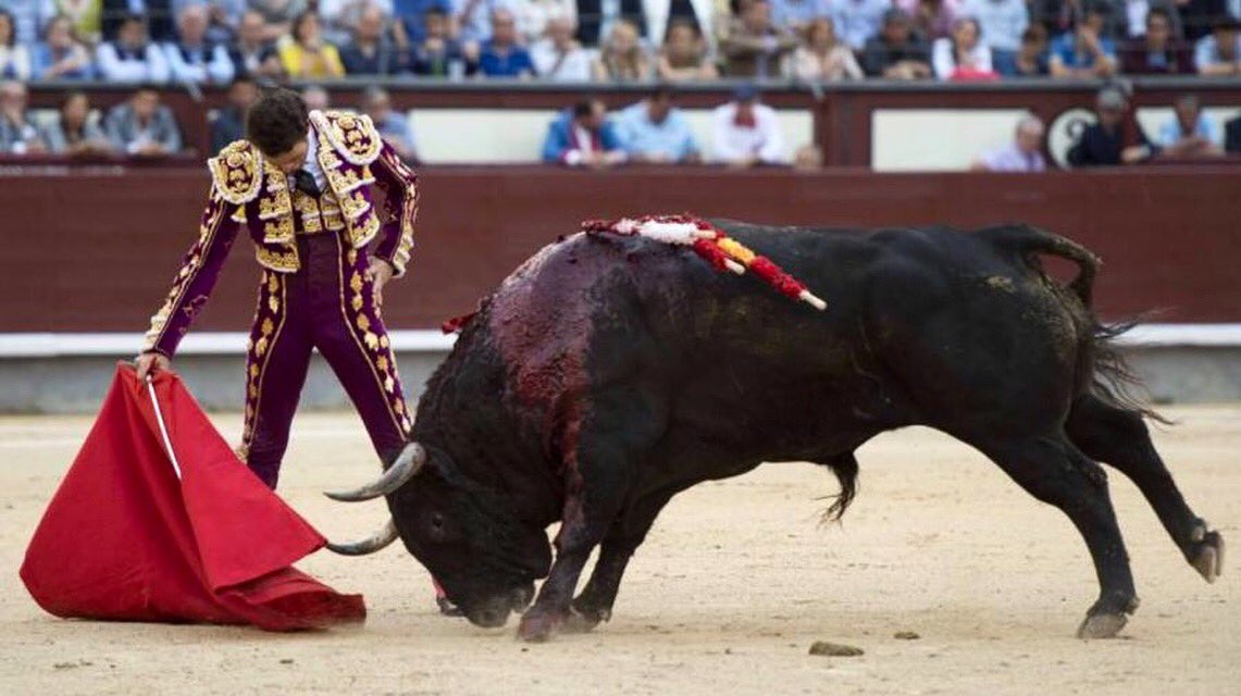 “La verdad os hará libres”. #SoydelFino #FinitodeCórdoba #Madrid
