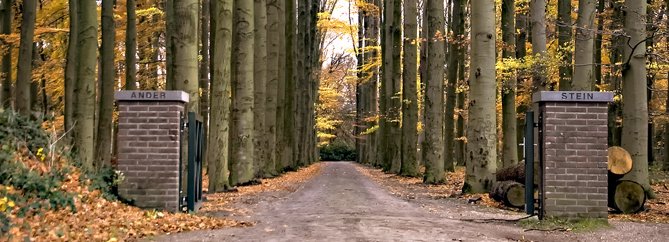 FWalgering's tweet image. Vandaag weer een mooie brainstorm gehad @SannedeKemp @227Media Learn over #PersonalizedLearning, we gaan mooie stappen maken!! #Datadriven @redpandahub @YOUFactoryNL