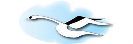 Come to our Swan End of Life and #Bereavement #Studyday on 23 May @ Education Centre, #TROH from 08:45 to 4pm. Topics inc – 
comfort bags, mortuary talk, personal stories, organ donation, spiritual care, Macmillan memories, incidents. Email bereavement.studydays@pat.nhs.uk