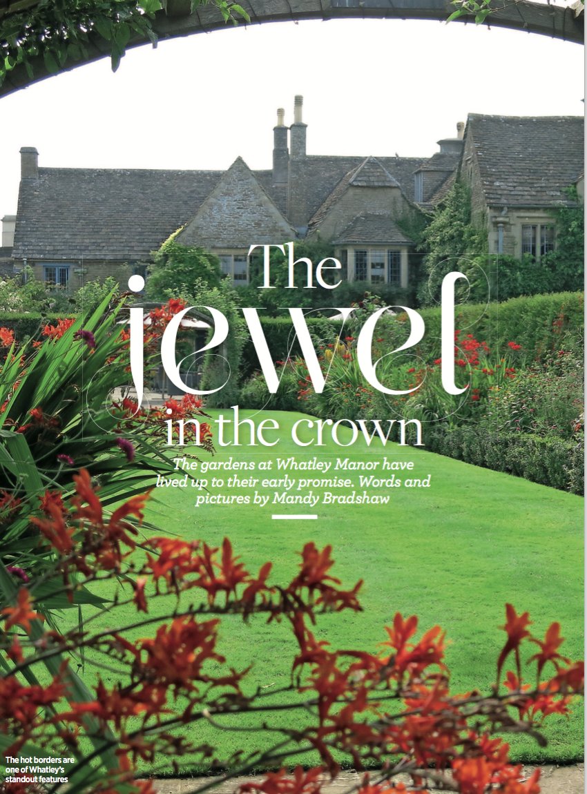 ChattyGardener's tweet photo. Still can't believe it. Thanks to @CotsWildTweets @Whatley_Manor & @NGSOpenGardens your stories clinched it & to @cotswoldlife for letting me wander around gardens & then talk about it. #PPAS2018 @PropPressAwards https://t.co/FQpZxNBVH1