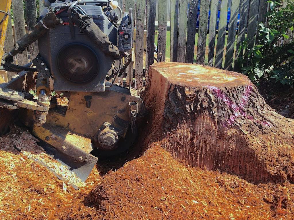 NSWTreeManageme's tweet photo. If you are looking for a dependable company to hire for #tree_stump_removal, then connect with @NSWTreeManageme we are the tree care professionals. We work closely with our clients to make sure that they remain upgraded.
https://t.co/3a0ura89M9 https://t.co/po7OyQ71I6