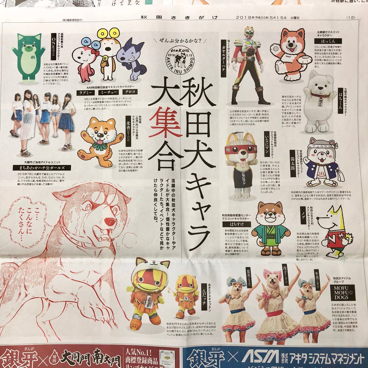 あをやま 昨日 秋田魁新報と一緒に発行された 秋田犬新報 の中で ガヤルダーハチ も秋田犬キャラとしてご紹介していただきました お手パンチは破壊力もありますが 肌触りも良いですよ O ガヤルダーハチ 秋田犬 秋田犬新報 秋田魁新報