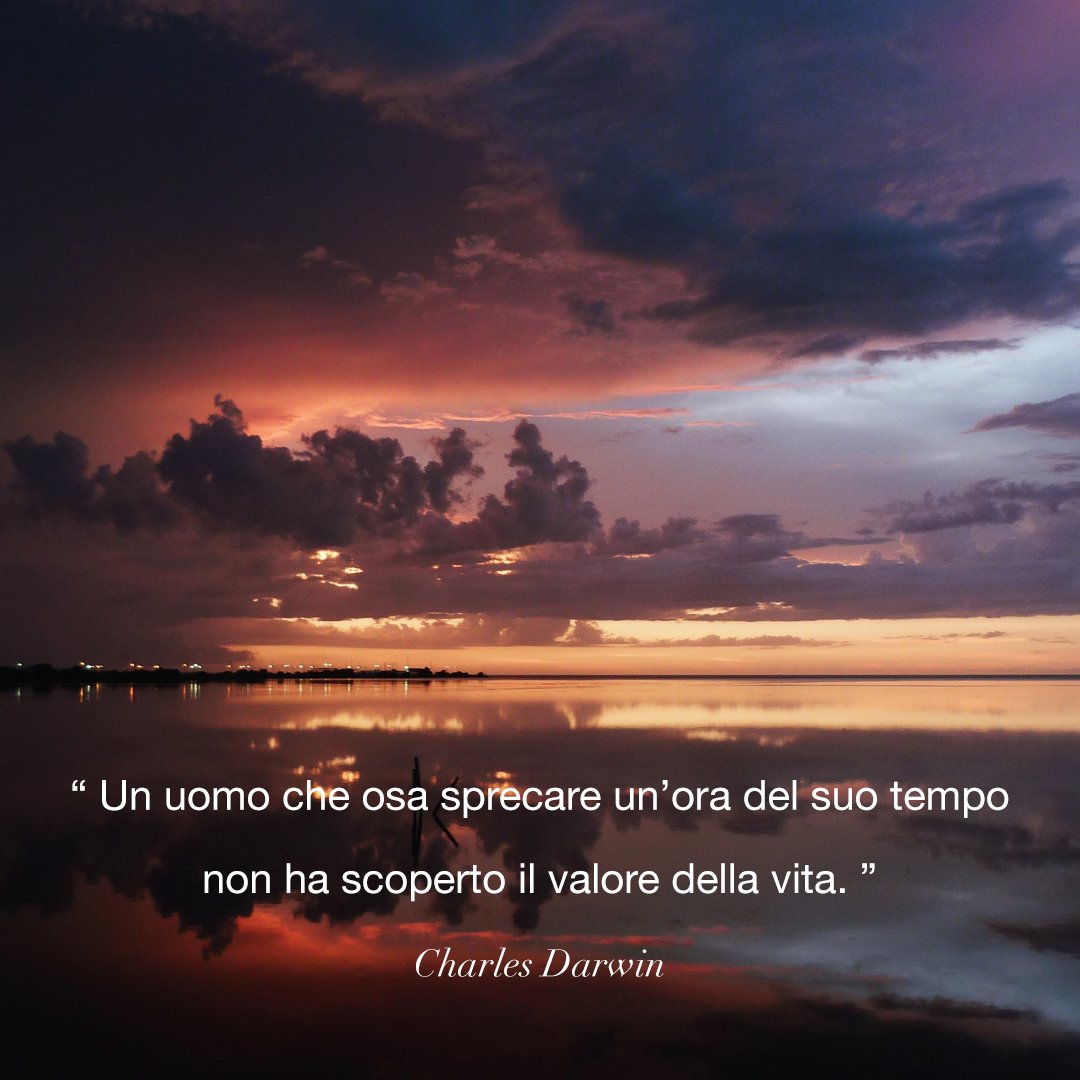 DuePiu_Assicura's tweet photo. Buongiorno!
#buongiorno #goodmorning #motivation #quotes #cartabianca #Buongiorno #16maggio #mattinieri #vivalaLettura #news #UnVersoAlGiorno #Buongiornoatutti #BuongiornoRegione #CercandoParole #ScrivoDelSilenzio #noiSinonimi #quoteoftheday #Spring #quotes #quotesoftheday https://t.co/Wx5KuLrGAr