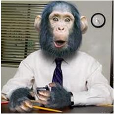 Trader.st tweet media