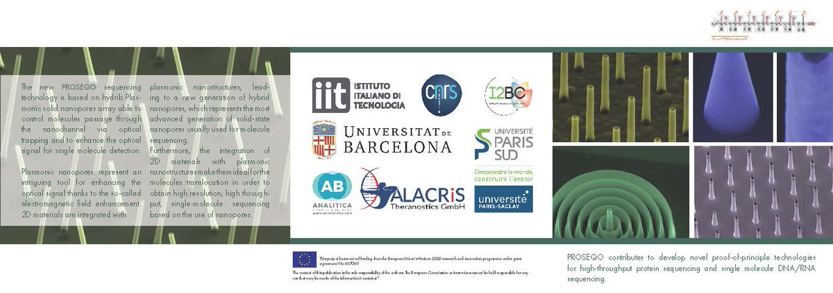 OProseq's tweet photo. What is #Proseqo @fet_eu ? Let's share our new project flyer! #plasmonics #protein #sequencing #genome @IITalk @UniBarcelona @u_psud @CNRS @abanalitica https://t.co/UWCDXPUvXg