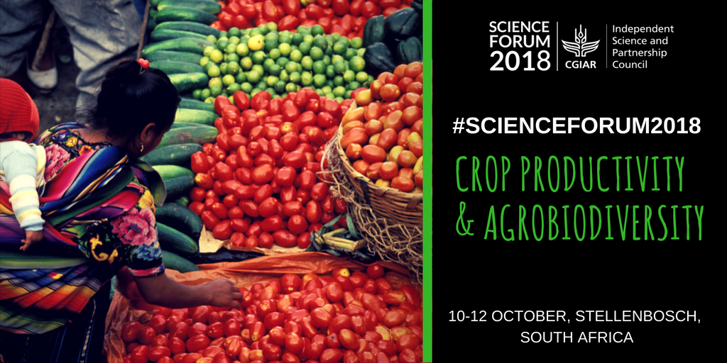 isdc_cgiar's tweet photo. What are interactions btw staple crop #productivity, #climatechange, #nutrition & #agrobiodiversity? This is just 1 topic that we will be discussing at #scienceforum2018 #SDGs : REGISTER NOW to be part of the discussion: https://t.co/CVNa3oRVmV @ARCSouthAfrica @CGIAR @ICRAF https://t.co/q3IK180wbm