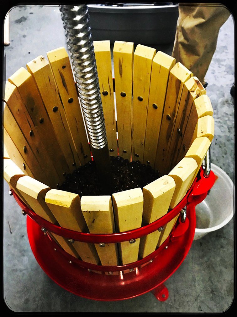 LiberatiDenver's tweet photo. This little guy is a grape press. Part of the unique challenges we face with creating grape beers is we need to fuse wine making processes with brewing processes. This little guy has proven quite helpful for our exploration. #grapepress #grapebeer #oenobrew #liberatidenver https://t.co/qWcZVU4RxB