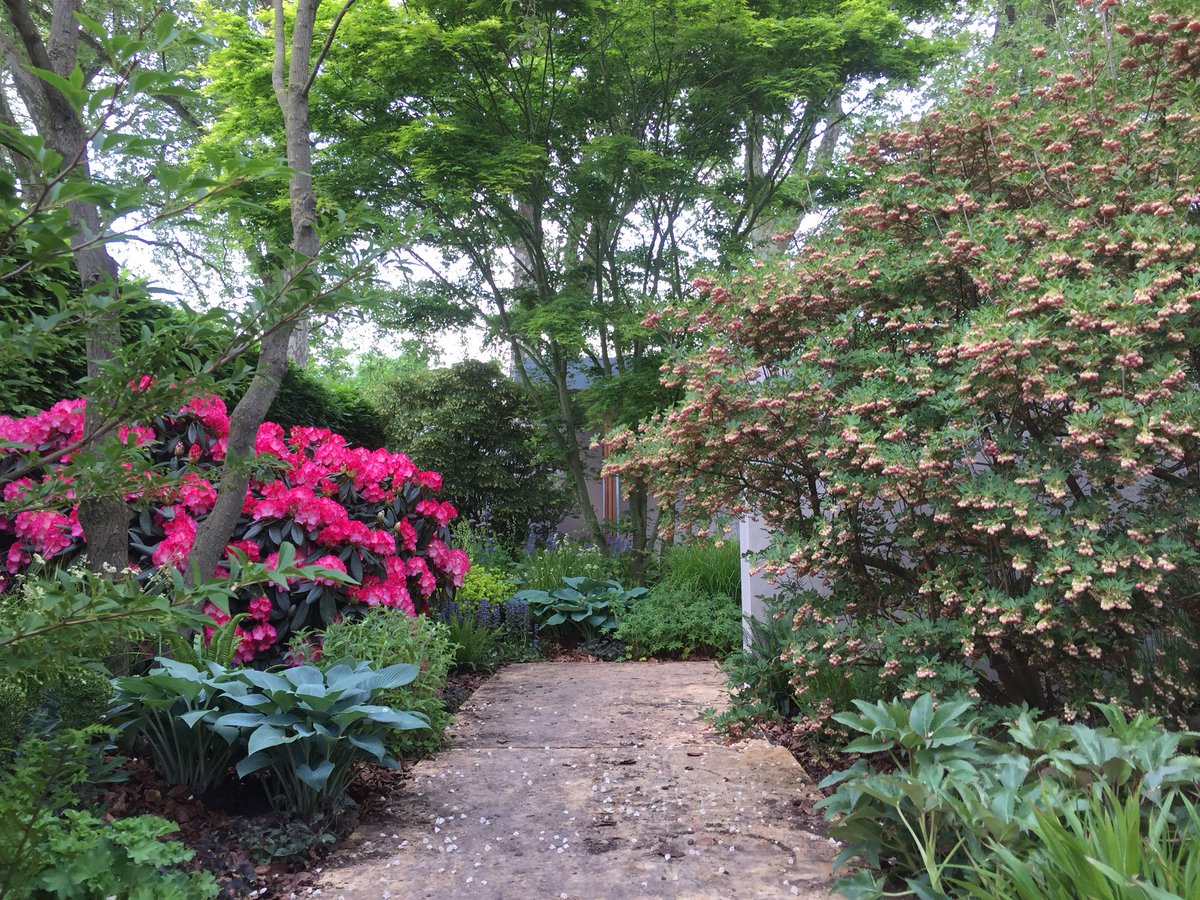 Day17 <a href="/MorganStanley/">Morgan Stanley</a> #RHSChelsea garden for <a href="/NSPCC/">NSPCC</a> with the impressions of woodland garden starting to take shape