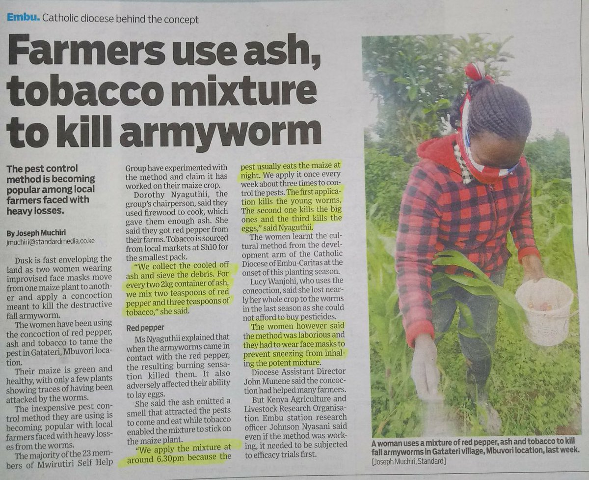 Kenyan Farmers use ash, tobacco mixture to kill Fall Army Worms <a href="/via_campesina/">La Via Campesina (EN)</a> <a href="/cidioti/">Cidi Otieno</a> <a href="/rls_agrar/">rls agrar</a> <a href="/ZiLAN2015/">Zimbabwe Land and Agrarian Network</a> <a href="/via_campesinaSP/">La Vía Campesina Español #SoberaniaAlimentariaYA</a> <a href="/spinachcharm/">Chris Chapman / @spinachcharm@🦣astodon.social</a> <a href="/FoodSovereignGH/">FoodSovereigntyGhana</a> <a href="/zimsoff/">ZIMSOFF</a> <a href="/AIAS_trust/">Sam Moyo African Institute for Agrarian Studies</a> <a href="/SID_INT/">Society for International Development</a> <a href="/FAOAfrica/">FAO in Africa</a> <a href="/ZindukaFestival/">Zinduka Festival</a> <a href="/UKatiba/">Utekelezaji Katiba</a> <a href="/Bulamwa/">Bunge la Mwananchi</a> <a href="/OngaroMike/">Mike Ongaro</a> <a href="/boamonjane/">Boaventura Monjane</a>