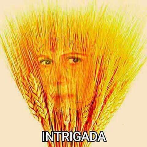dabruculiadas's tweet photo. @dabrupride  https://t.co/aCoqPWubD7