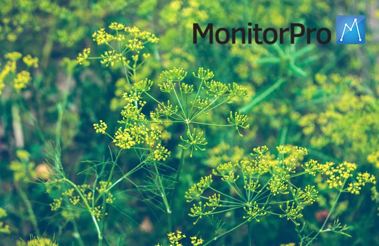 EHSData's tweet image. Advantages of Proper Data Management  ow.ly/cS7S30k0rXL #environment #bigdata #techsystems