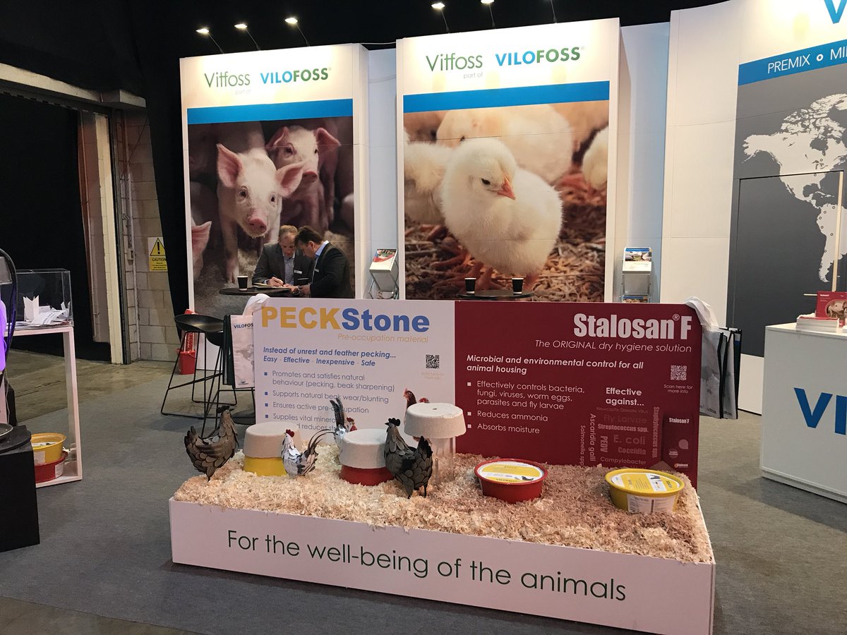 Vilofoss_UK's tweet photo. We are back and ready for day two at the @PigPoultry Fair 2018. We look forward to seeing you all and discussing #Stalosan #PeckStones #FirstFeeder #Vitfoss Stand 62, Hall 2 #PigAndPoultry https://t.co/LIA7tSjpUS