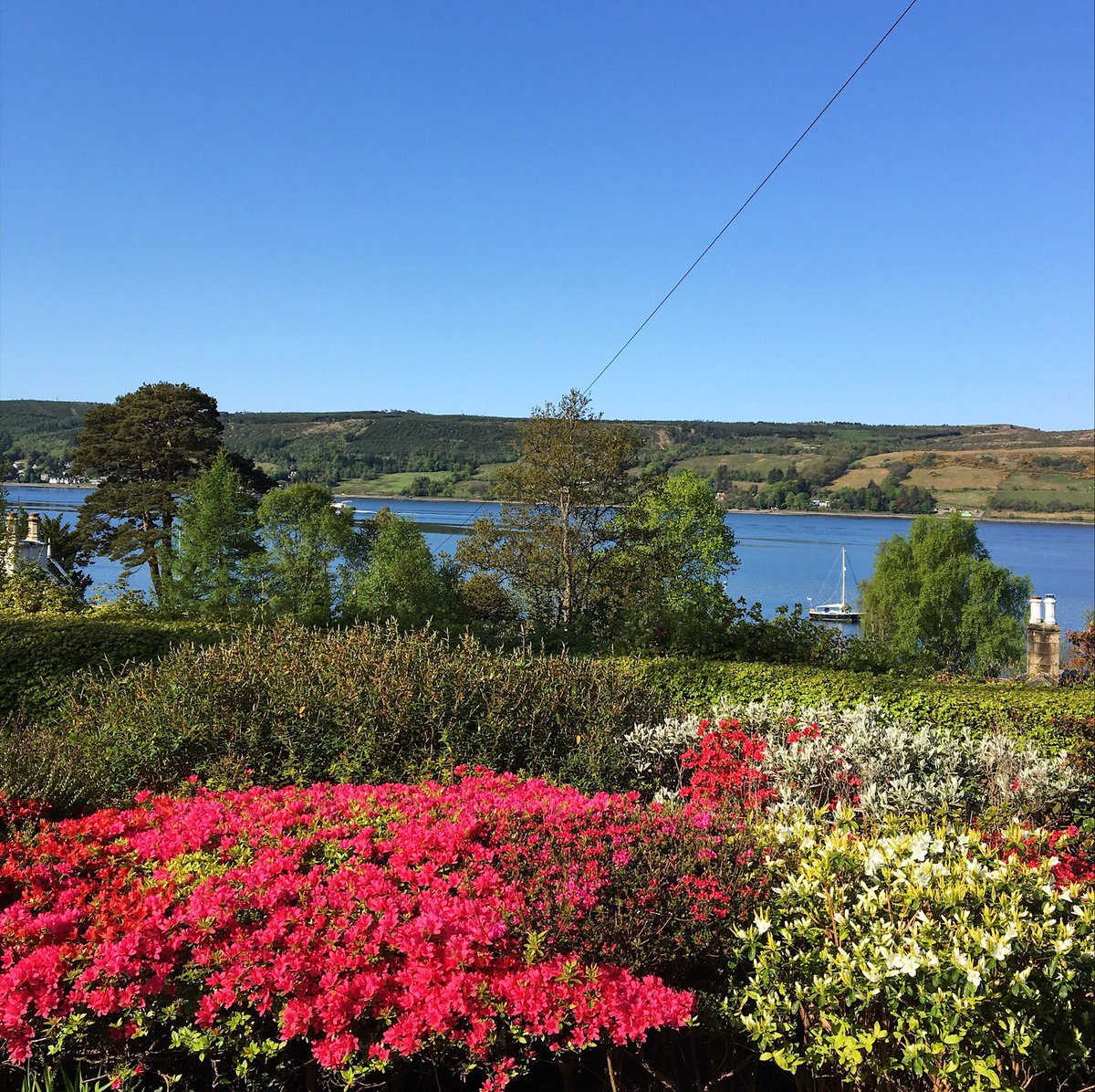 ScottInness's tweet photo. Favourite time of the year in the garden. A colourful, joyful and inspirational start to the day. #loveArgyll. https://t.co/T7hay4Vj44