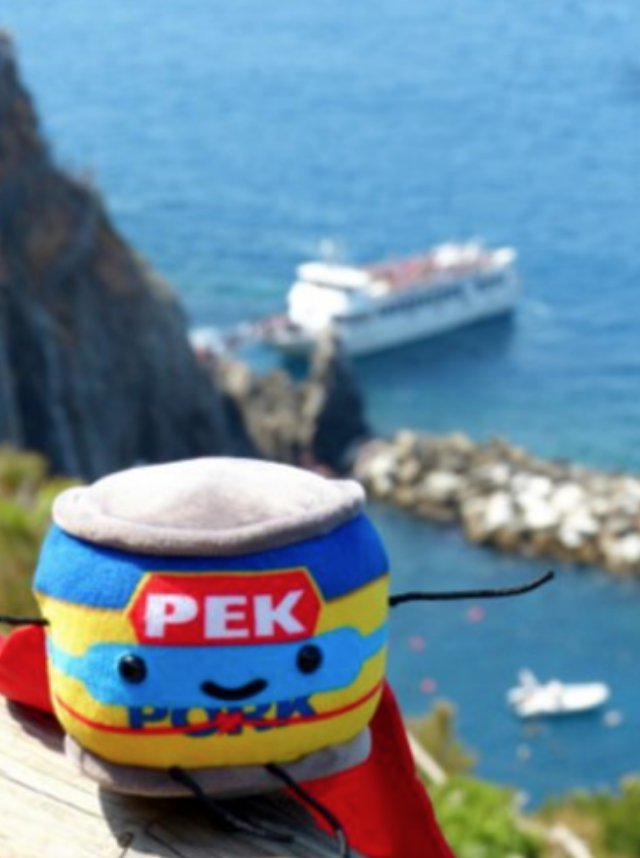 PEKManOfficial's tweet photo. I'm soaking up the Italian sunshine today, I might even have a PEKked up pizza too, who'd love to join me? #Travel #Italy #Foodie https://t.co/wXqydyinVv