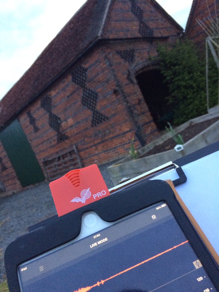 SalopianEcology's tweet photo. It's that time of year again #batsurveys are in full swing keeping our clients on track for #successful and #timely planning applications. https://t.co/BnEChnwsr6