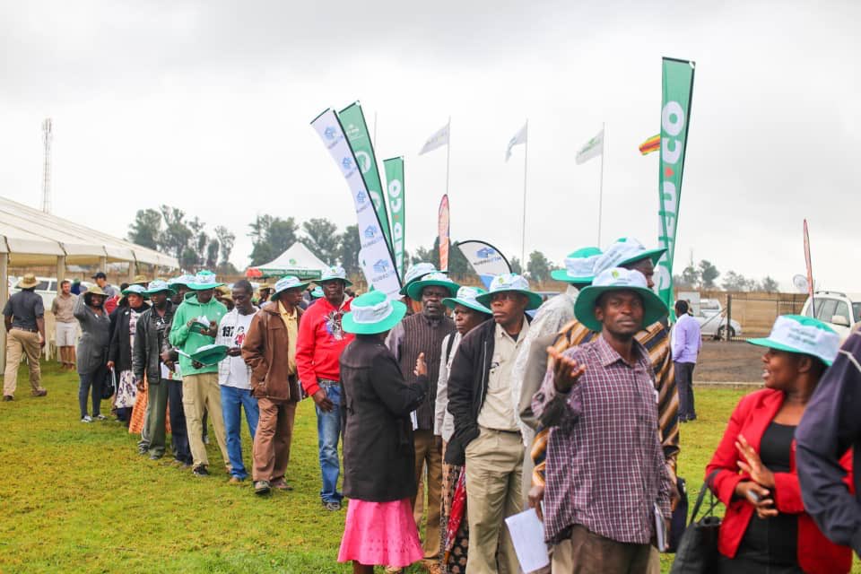 Seed Co Zimbabwe tweet media