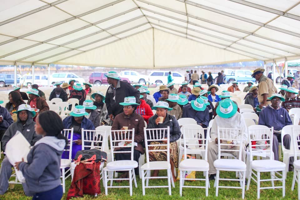 Seed Co Zimbabwe tweet media