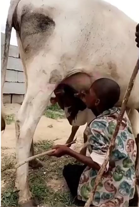 KulNaija's tweet photo. Now, i have seen it all
https://t.co/GYFmySU8ps https://t.co/JcnwZ4EIvG