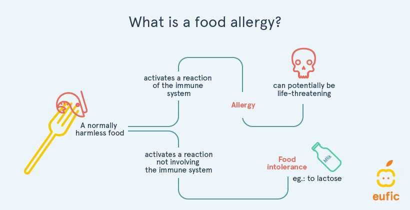 what are allergies immune system