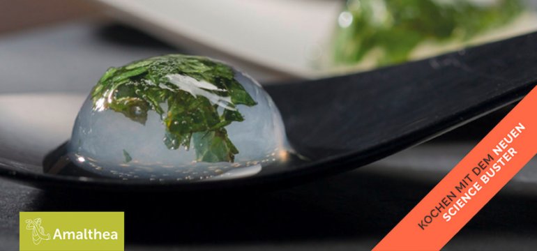 Schmankerl aus dem Labor: Science Buster Helmuth Jungwirth von der <a href="/UniGraz/">Uni Graz/University of Graz</a> im Interview über Molekularküche und Glutamat bit.ly/science-schman…

@erdkueche #sciencebusters