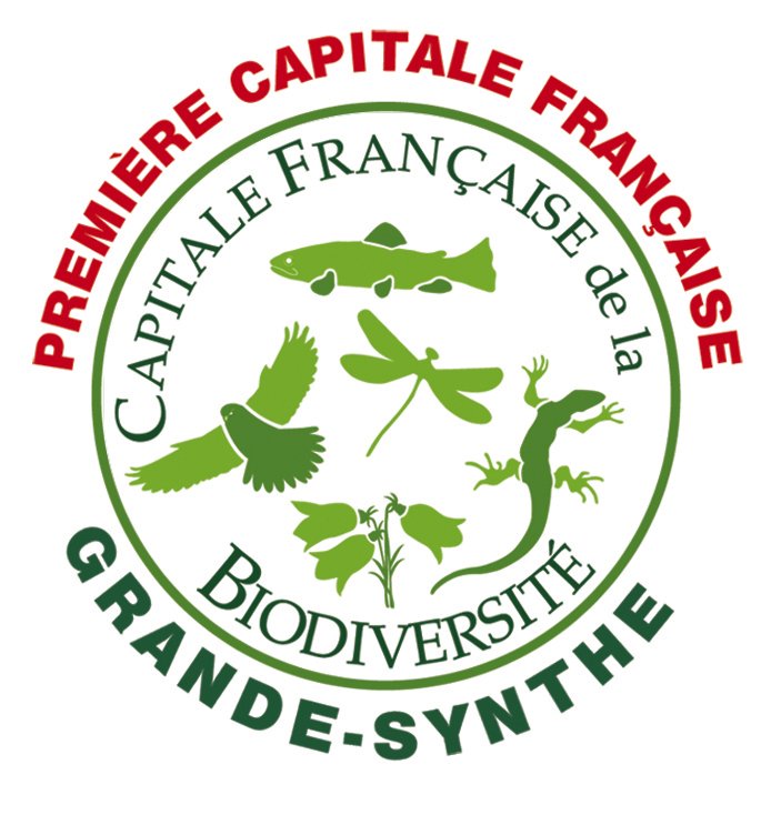 forumTEES's tweet photo. Visite 2 : Le "Développement Durable Tour" de la Ville de Grande-Synthe. De la capitale française de la biodiversité à la "ville en transition", Grande-Synthe a su mettre ses habitants au coeur d'un projet de résilience locale. https://t.co/1zZrUqoNeA