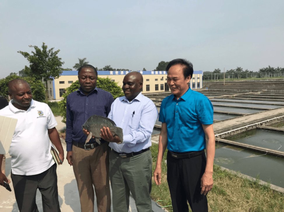 AMBASSADOR KIYONGA ROOTS FOR IMPROVED FISH FARMING TECHNOLOGY ugandaembassybj.org/press-releases…