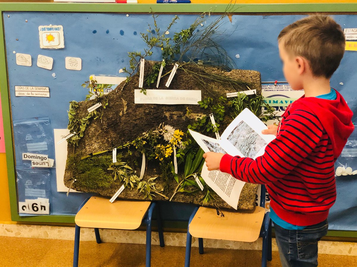 ColegioCRIPER's tweet photo. ¡Las exposiciones orales de los niños/as de Benamahoma nos están dejando alucinados! 😵 #animalesdelaSierra #floradelaSierra #proyectoSierra #ProyectoCriper https://t.co/zT8SRpOUra