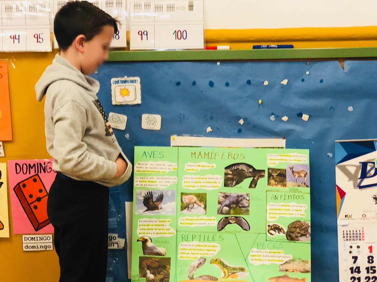 ColegioCRIPER's tweet photo. ¡Las exposiciones orales de los niños/as de Benamahoma nos están dejando alucinados! 😵 #animalesdelaSierra #floradelaSierra #proyectoSierra #ProyectoCriper https://t.co/zT8SRpOUra