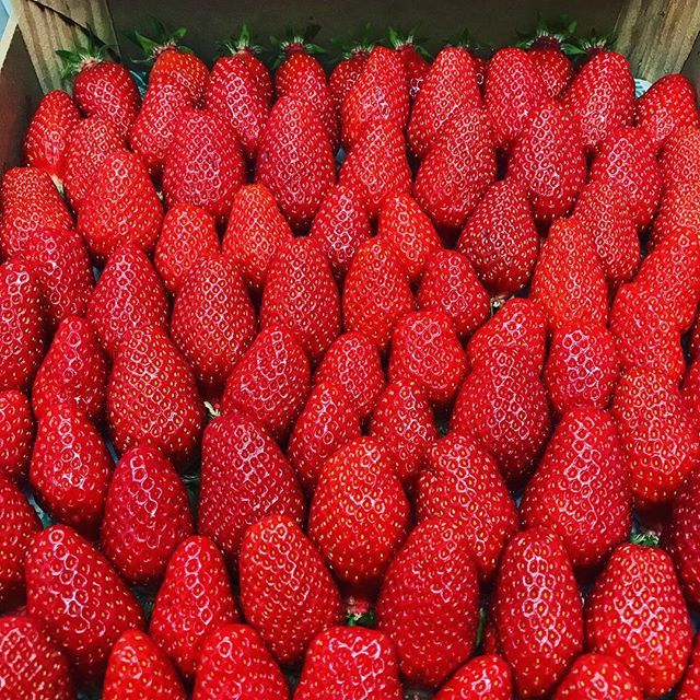 When you walk into work and your greeted with these, you just know it’s gonna be a good day #strawberries #gariguettes #produce #quality  #birmingham #edgbaston #michlinstar @simpsons_restaurant 😜 ift.tt/2IKQoHH