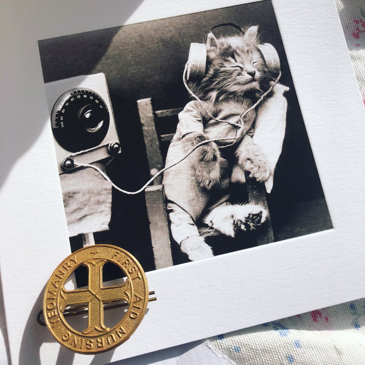 rohinibajaj2's tweet photo. An amazing gift from an amazing person that I am honoured to call my friend. Thank you @stumpyleg #SecretAgentSelection https://t.co/qf5vcZtrYL