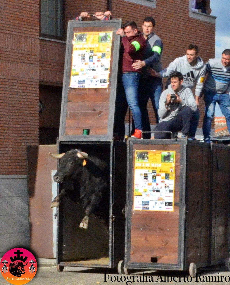 ArteTaurinoEs's tweet photo. 📸 | Os invitamos a que visitéis nuestra página de #Facebook y que echéis un vistazo al último reportaje de nuestro compañero #AlbertoRamiro sobre el Toro de Cajón que se celebró en la localidad vallisoletana de Ataquines el pasado 28 de abril 🔶🐂 https://t.co/WuGcOpqKgC https://t.co/rDotTuj9Kx