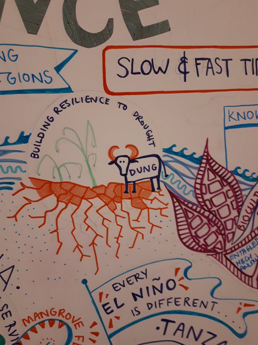 PhimisterEuan's tweet photo. Dali Nayek with the visualization of the first day of the Building Resilience to El Nino workshop at Royal Society. Including the BREAD project brilliantly captured in visual form! @HuttonSEGS @royalsociety #elninoresilience @UoABusSchool https://t.co/etlt18eT6x